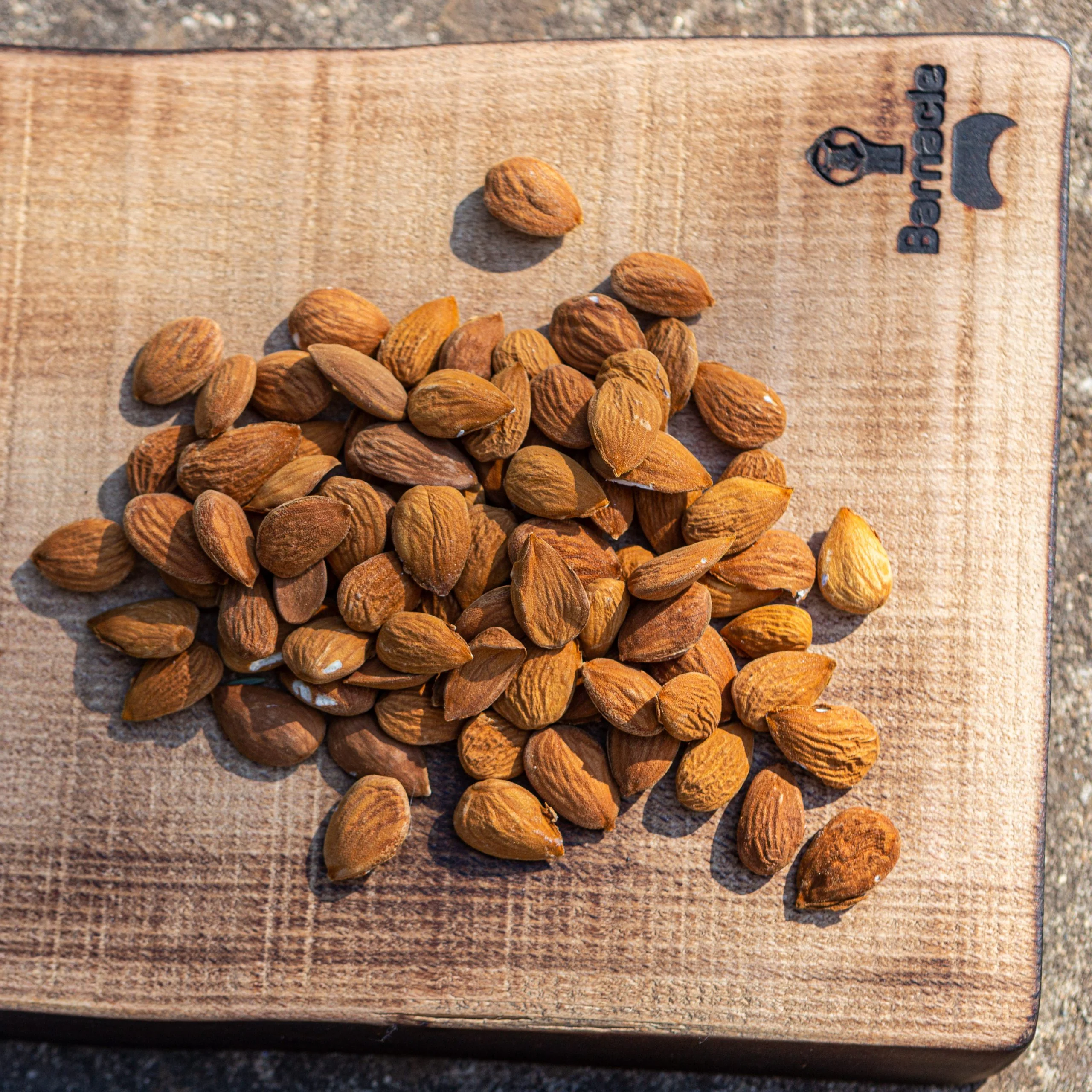 Imagen del producto 4