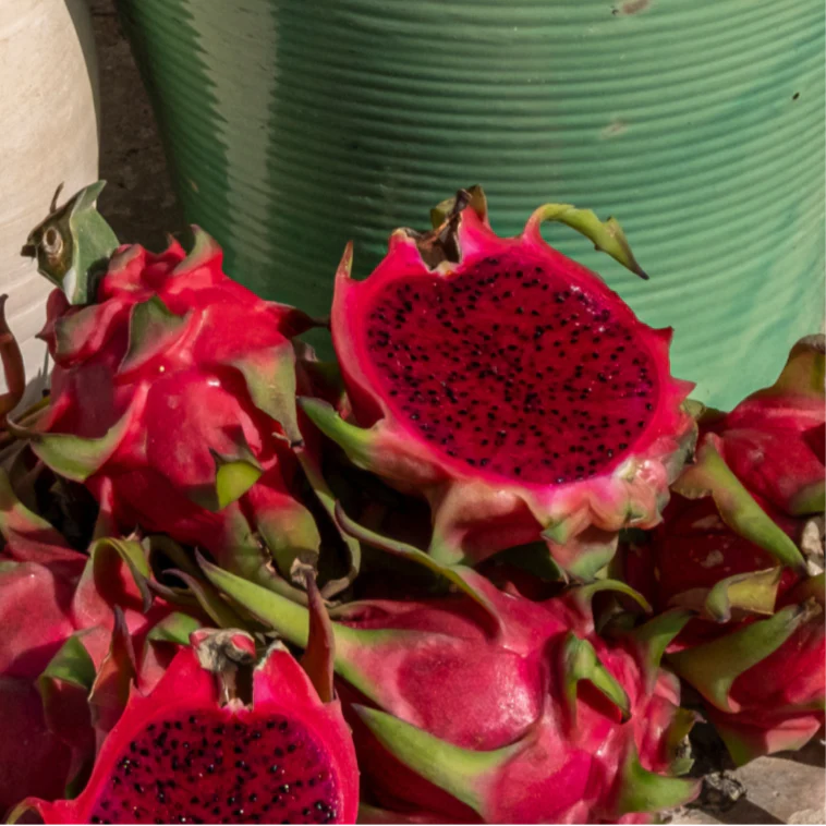 Imagen del producto 4